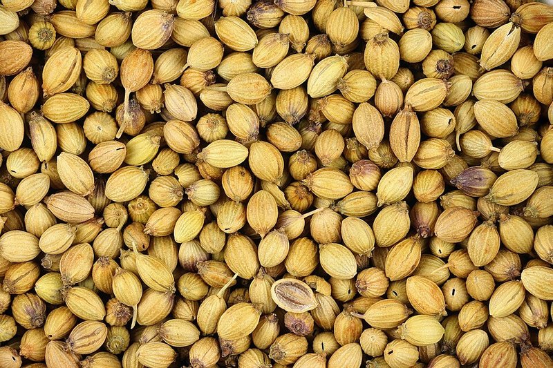 Coriander Seeds 100 g