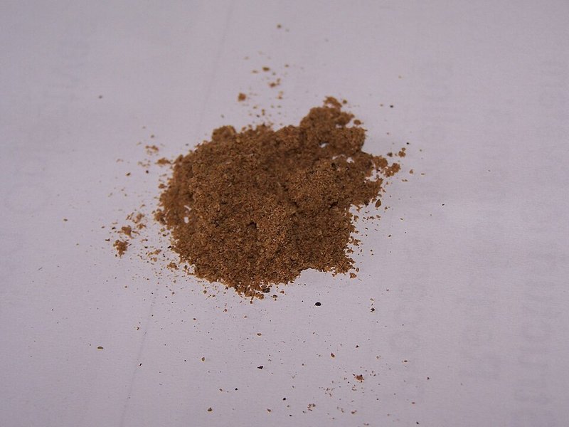 Everest Garam Masala 100 g