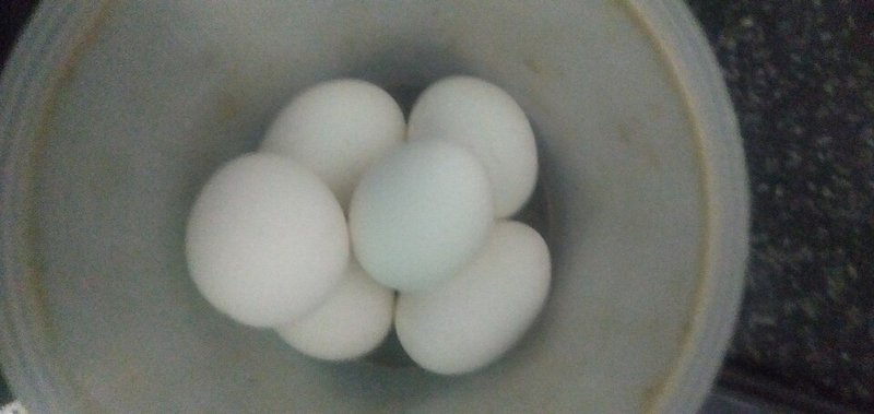 White Eggs 12 pcs