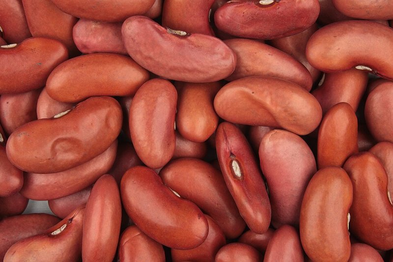 Rajma 500 g