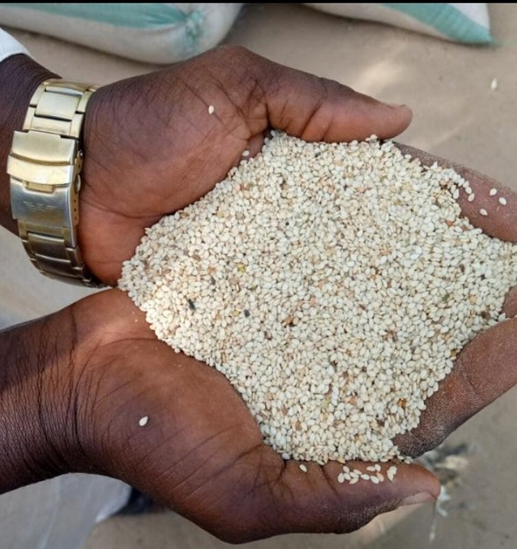Sesame Seeds 100 g